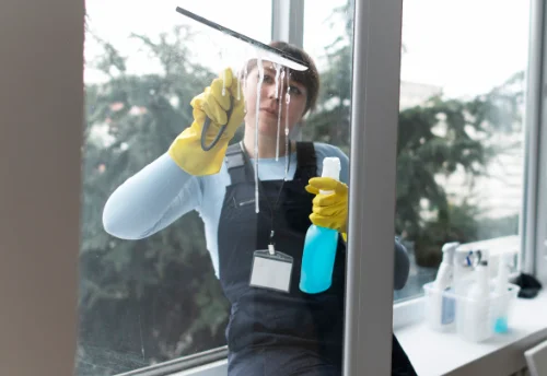 Nettoyage de vitres intérieures et extérieures à Saint-Vincent-de-Mercuze